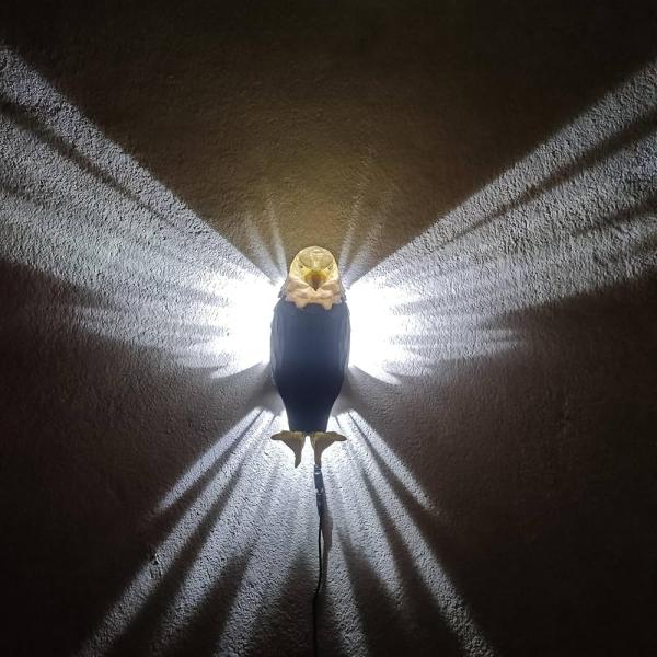 Bird Wall Lamp